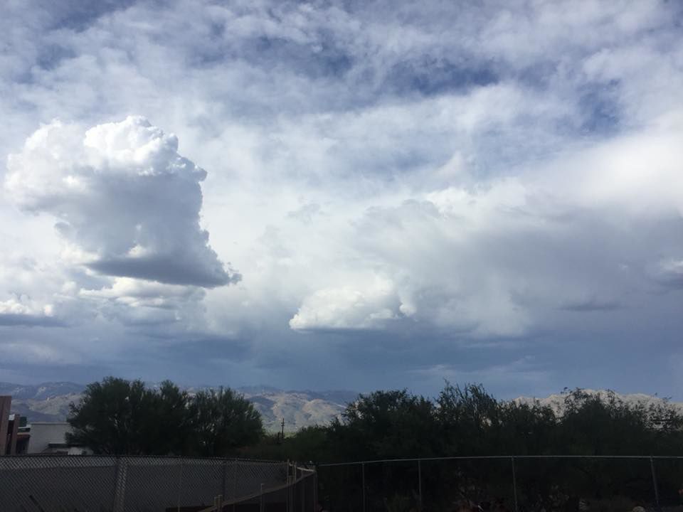 Reader monsoon photos